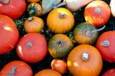 Farm Produce - Photo Credit: Amy Etra