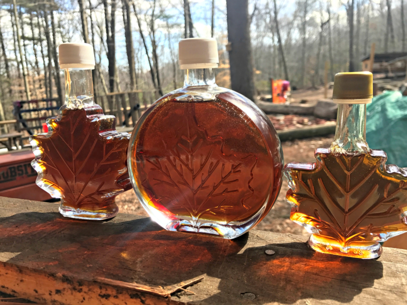 Maple Syrup Festival Common Ground