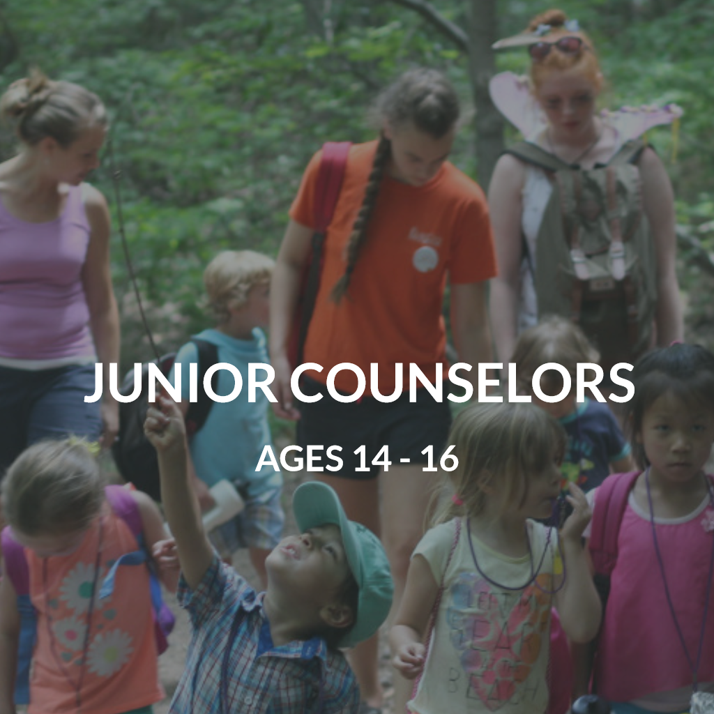 Summer Camp 2021 Common Ground