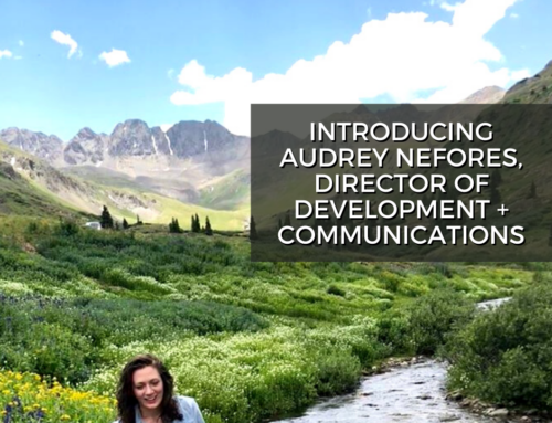 Introducing Development & Communications Director, Audrey Nefores!
