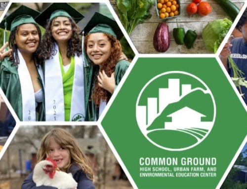 FILLED- Common Ground Is Seeking A Full-Time Environmental Science Teacher