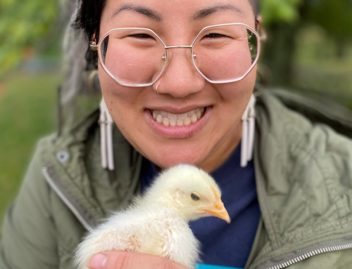 Meet Esther Chiang, Common Ground’s Food Justice Education Coordinator